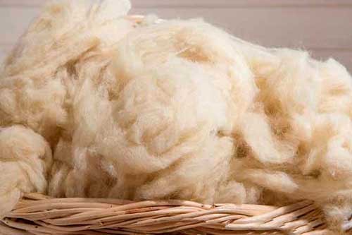 Fibras naturales de origen animal: la lana